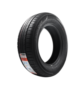 225/65R17 - XBRI
