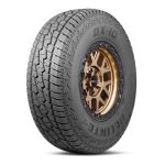 225/60R17 - Delinte