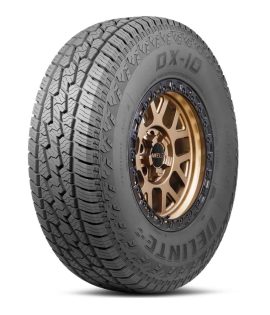 225/60R17 - Delinte