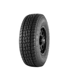 225/60R17 - Nankang